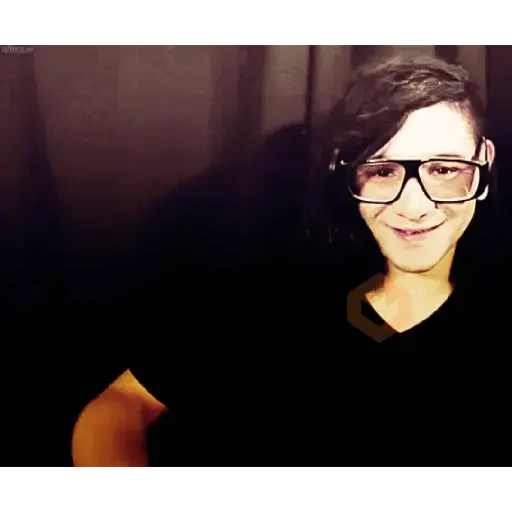 Skrillex sticker 29