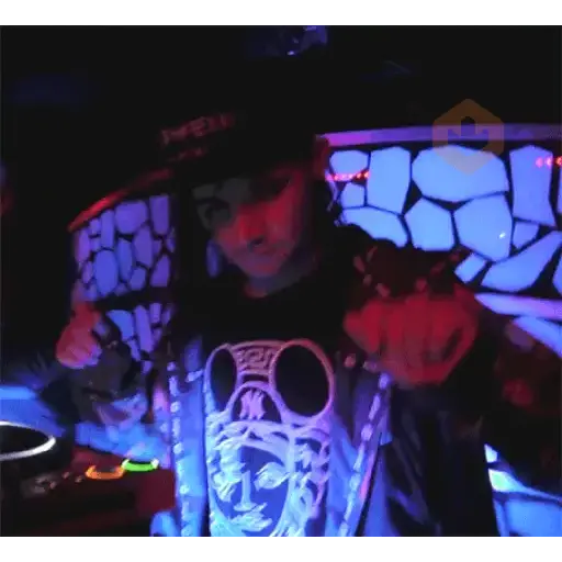 Skrillex sticker 27