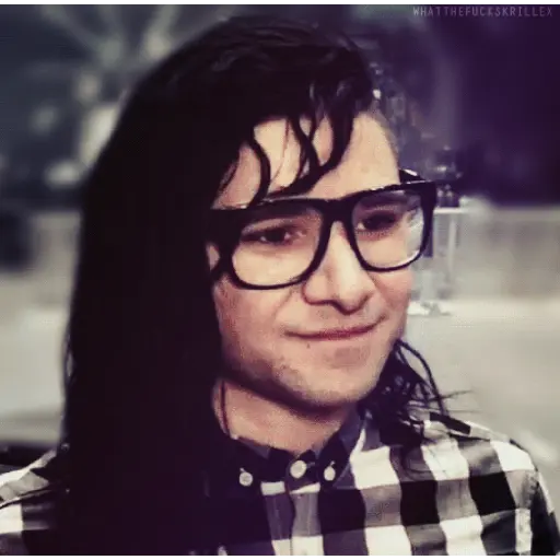 Skrillex sticker 13