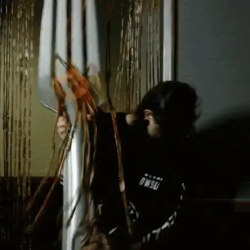 Skrillex sticker 28