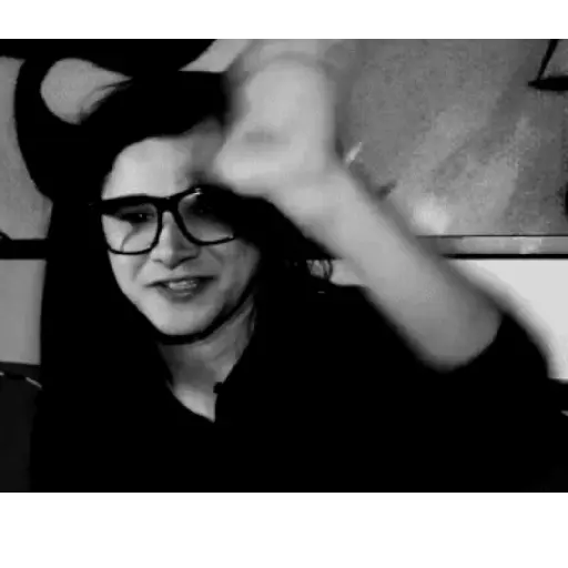 Skrillex sticker 14