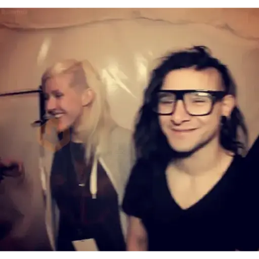 Skrillex sticker 20