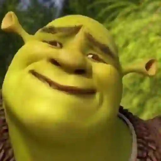 💚 Shrek Memes 😂 sticker 12