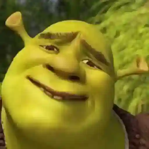 💚 Shrek Memes 😂 sticker 20