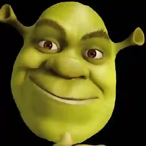 💚 Shrek Memes 😂 sticker 21