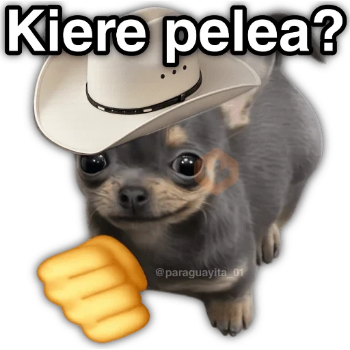 💯😝 •ANIMALITOS Frases• 😝💯 sticker 14
