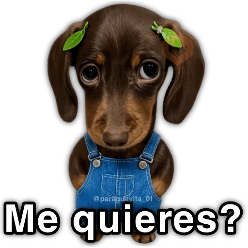 💯😝 •ANIMALITOS Frases• 😝💯 sticker 15