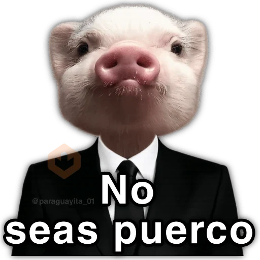 💯😝 •ANIMALITOS Frases• 😝💯 sticker 16