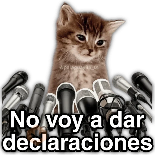 💯😝 •ANIMALITOS Frases• 😝💯 sticker 12