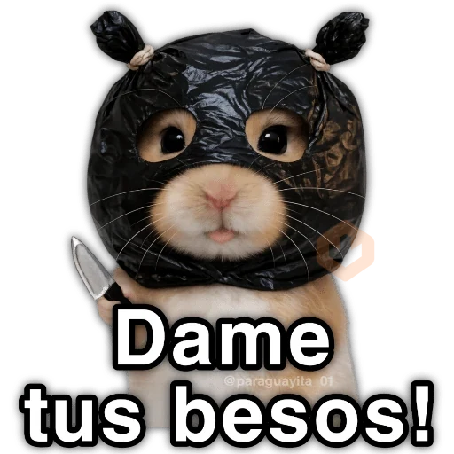 💯😝 •ANIMALITOS Frases• 😝💯 sticker 17