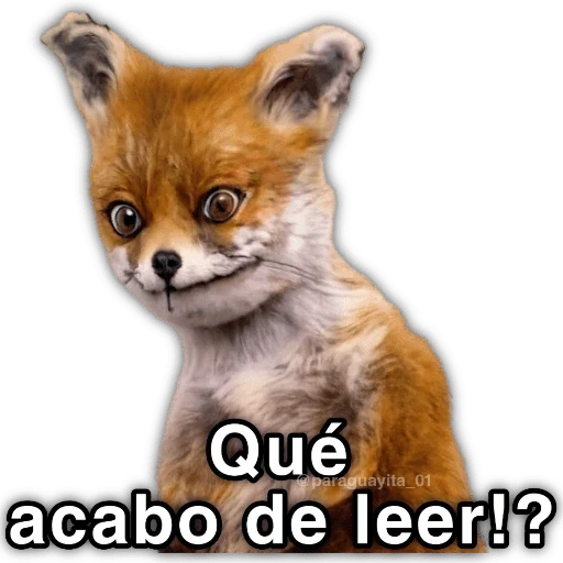 💯😝 •ANIMALITOS Frases• 😝💯 sticker 18