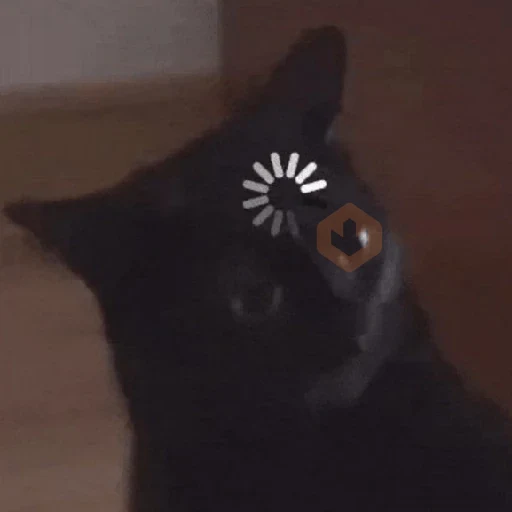 Más Michis! 🐾😺 sticker 11