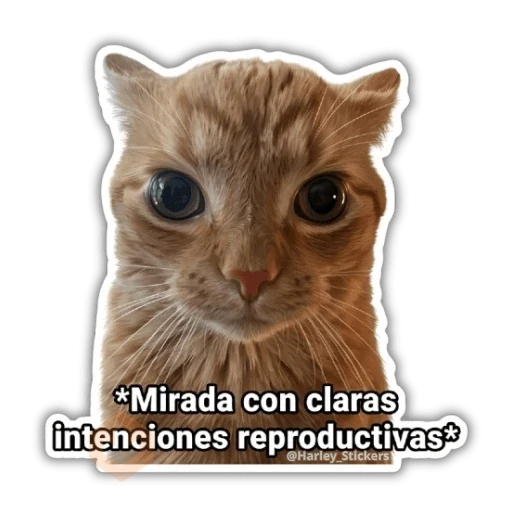 🗣️ Memes Variados 🗣️ sticker 12