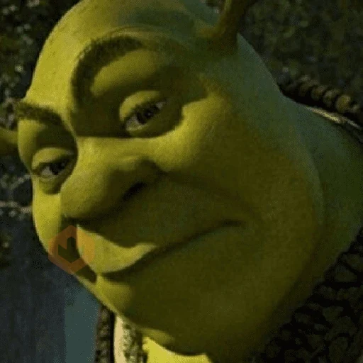 Shrek sticker 19