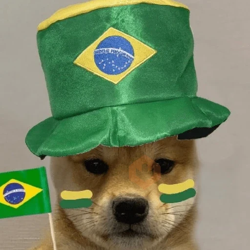 🇧🇷⚽️ BRASIL ⚽️🇧🇷 sticker 25