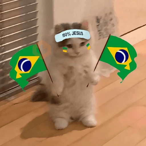 🇧🇷⚽️ BRASIL ⚽️🇧🇷 sticker 28