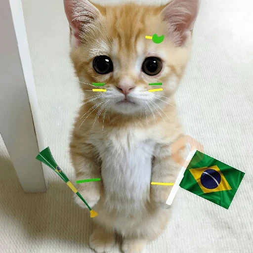 🇧🇷⚽️ BRASIL ⚽️🇧🇷 sticker 29