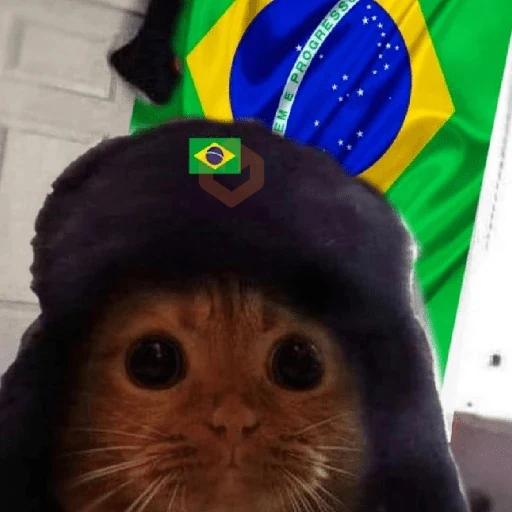 🇧🇷⚽️ BRASIL ⚽️🇧🇷 sticker 18
