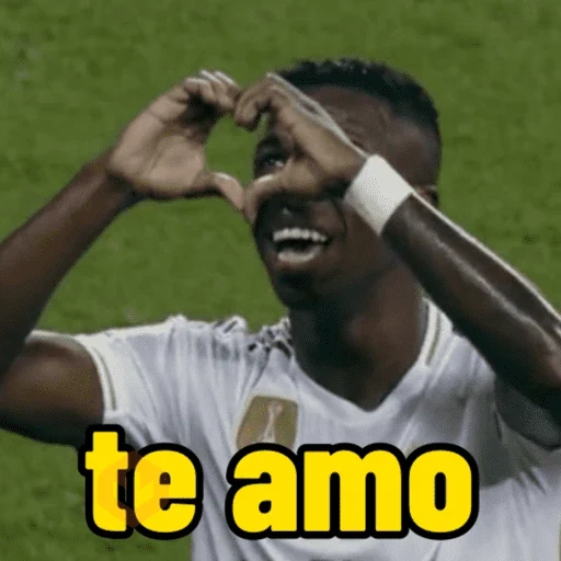 vini jr | vinicius jr 🇧🇷 sticker 12