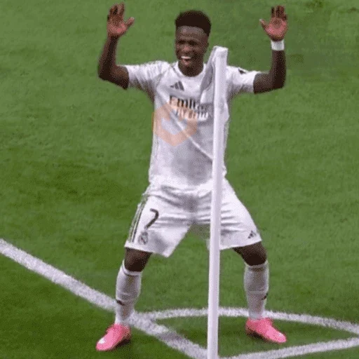 vini jr | vinicius jr 🇧🇷 sticker 13