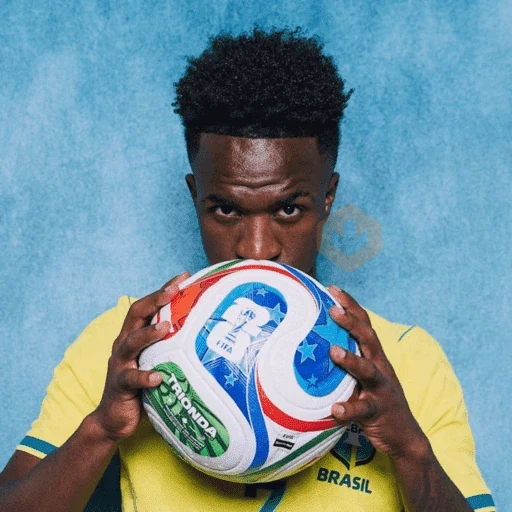 VINICIUS JR 💚💛 sticker 11