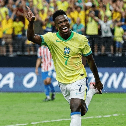 VINICIUS JR 💚💛 sticker 14