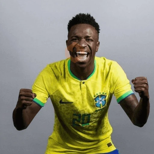 VINICIUS JR 💚💛 sticker 13