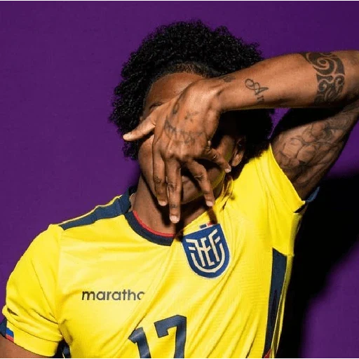 Seleccion de Ecuador 🇪🇨 sticker 13