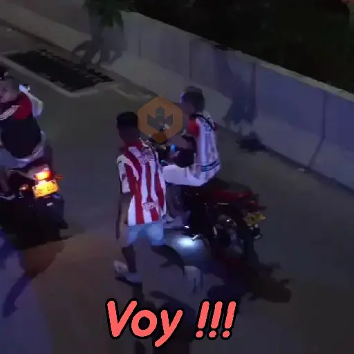 Junior de Barranquilla #5 sticker 18