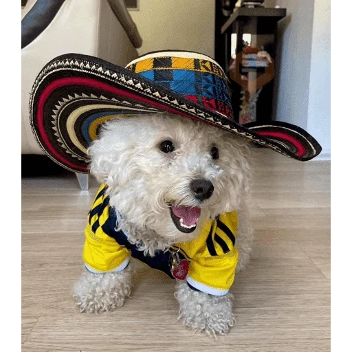 Seleccion de colombia 2026 sticker 15