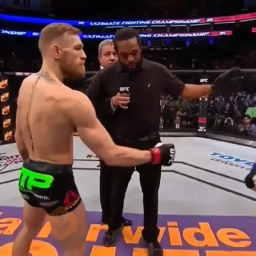 UFC MMA sticker 12