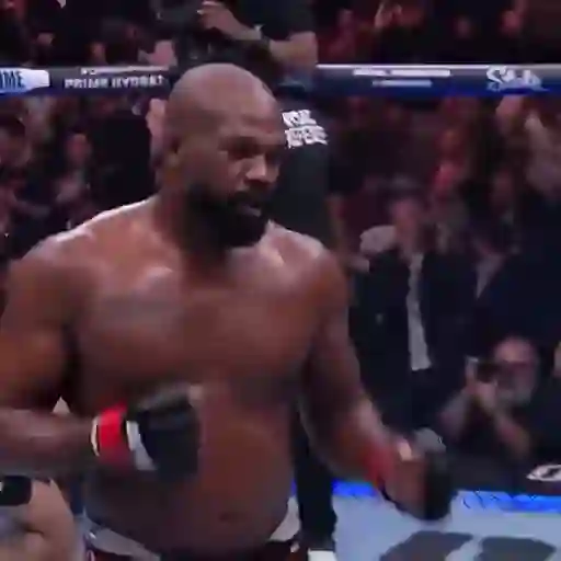 UFC MMA sticker 14