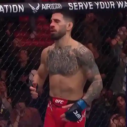 UFC MMA sticker 20
