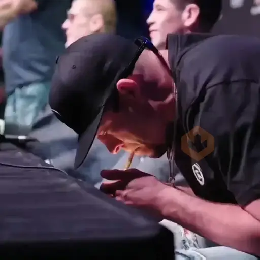 UFC MMA sticker 17
