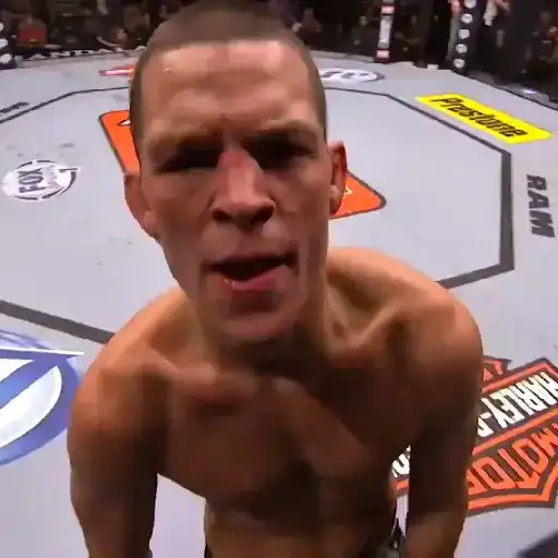 UFC MMA sticker 11