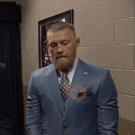 UFC MMA sticker 25