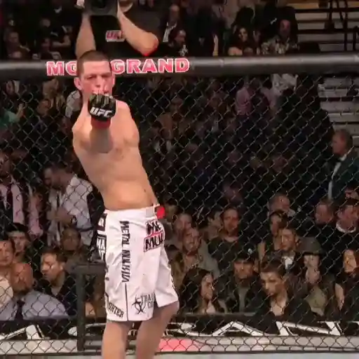 UFC MMA sticker 19