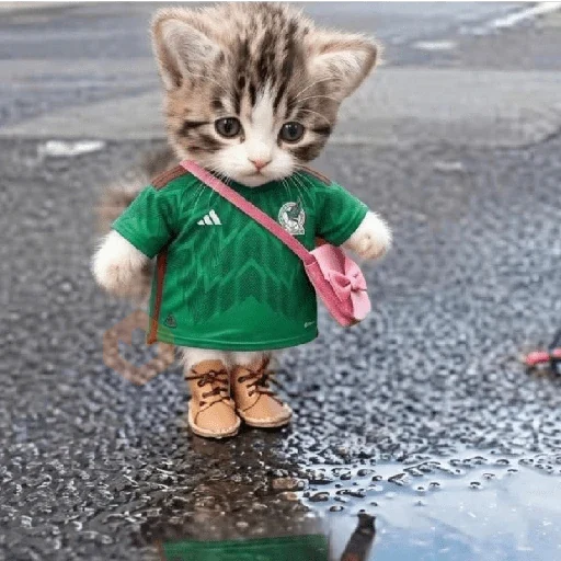 México 🇲🇽 Memes mundial ⚽🥅 sticker 16