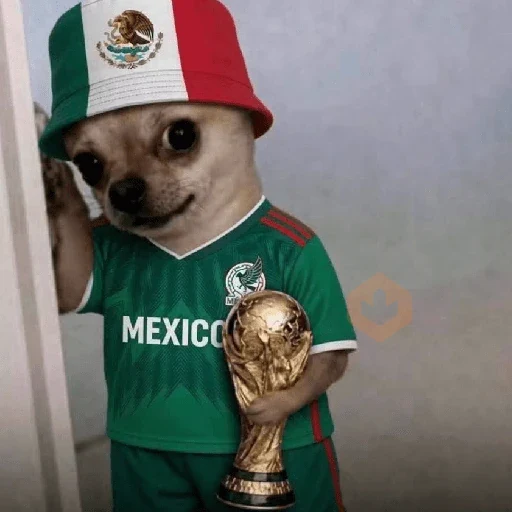 México 🇲🇽 Memes mundial ⚽🥅 sticker 29
