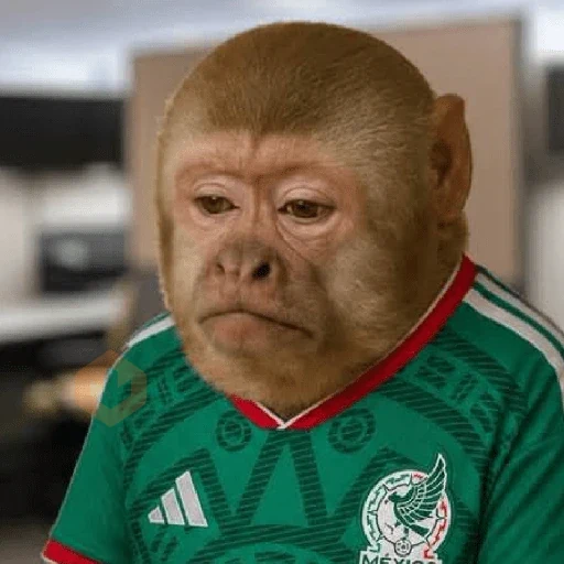México 🇲🇽 Memes mundial ⚽🥅 sticker 19