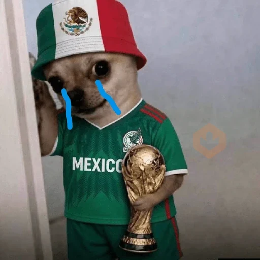 México 🇲🇽 Memes mundial ⚽🥅 sticker 30