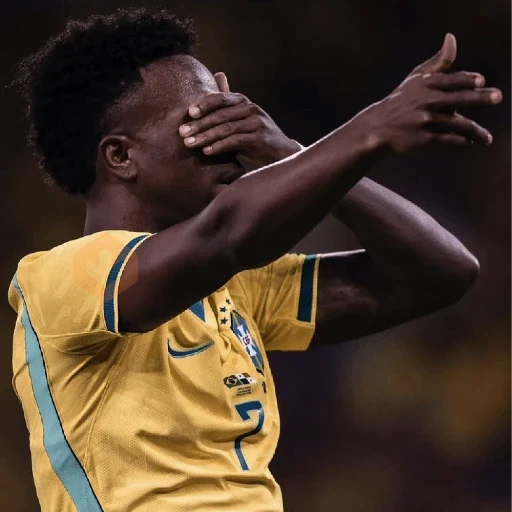 Vinícius Júnior | Brasil 🇧🇷 sticker 20
