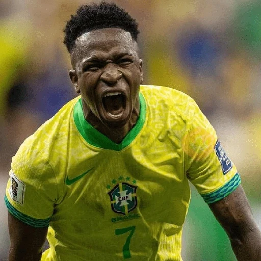 Vinícius Júnior | Brasil 🇧🇷 sticker 17