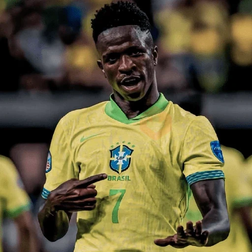 Vinícius Júnior | Brasil 🇧🇷 sticker 14