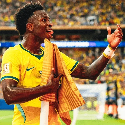 Vinícius Júnior | Brasil 🇧🇷 sticker 22