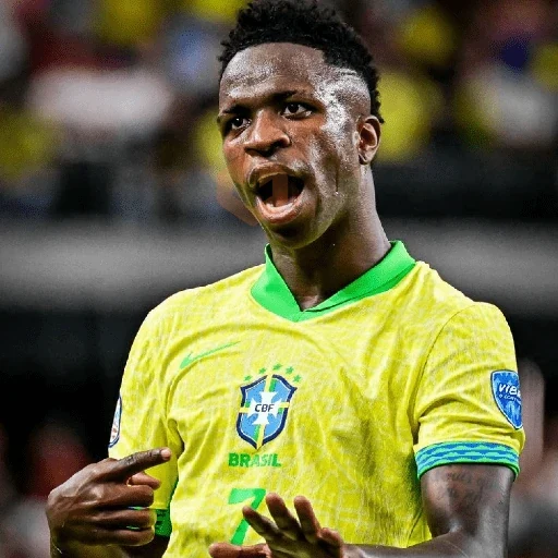 Vinícius Júnior | Brasil 🇧🇷 sticker 18