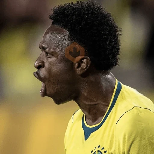Vinícius Júnior | Brasil 🇧🇷 sticker 13