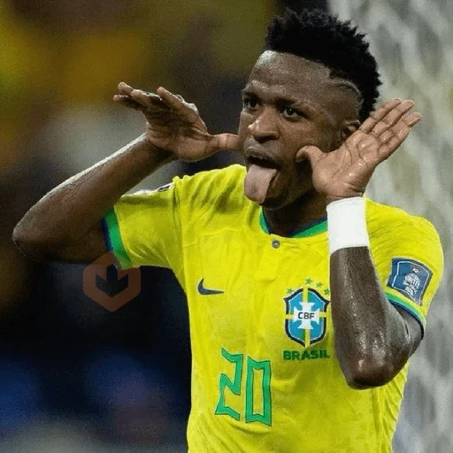 Vinícius Júnior | Brasil 🇧🇷 sticker 16
