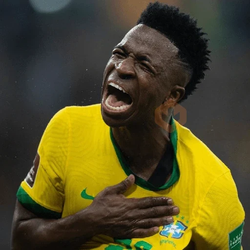 Vinícius Júnior | Brasil 🇧🇷 sticker 11