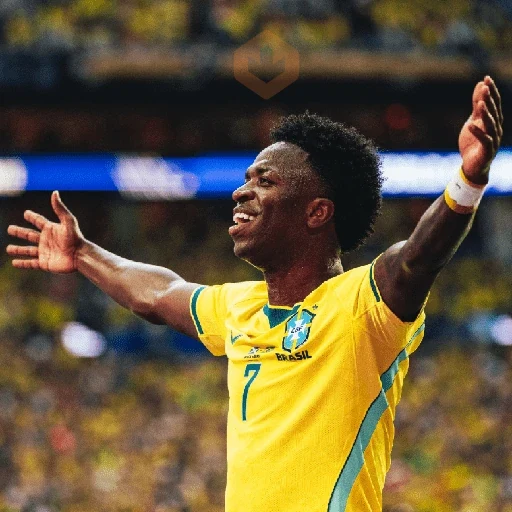 Vinícius Júnior | Brasil 🇧🇷 sticker 23